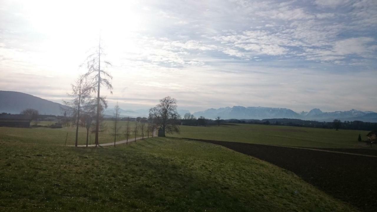 Ferienwohnung An Der Idyllischen Salzachschleife Naehe Salzburg Laufen Eksteriør bilde